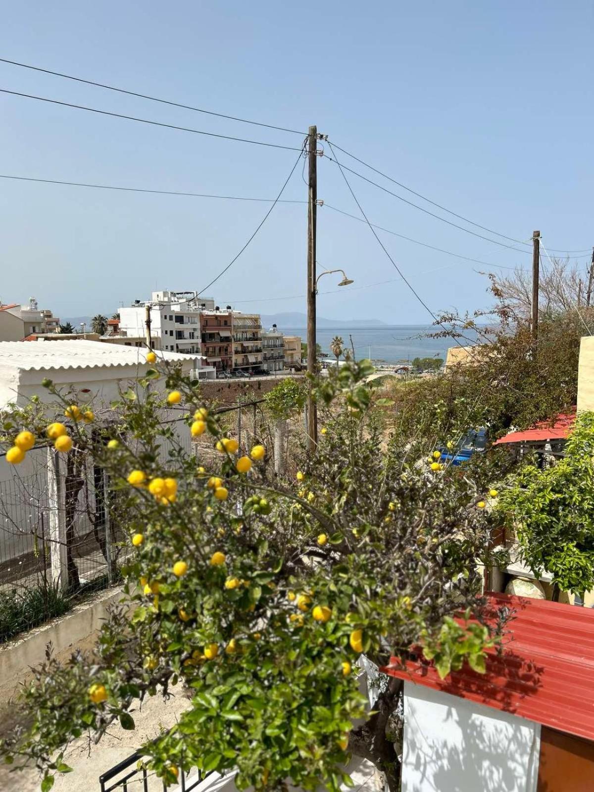 Sofias Home Χανιά Εξωτερικό φωτογραφία